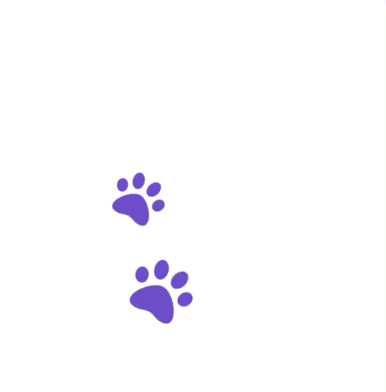 Icon load trang