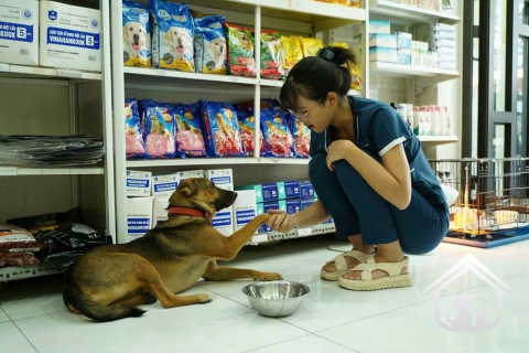 Khi quán cầy tơ vắng dần: Tiến tới cấm luôn giết thịt chó mèo, được không?