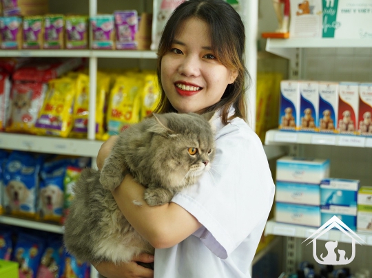 Đội ngũ Amy Vet Center
