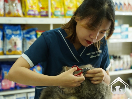 Đội ngũ Amy Vet Center