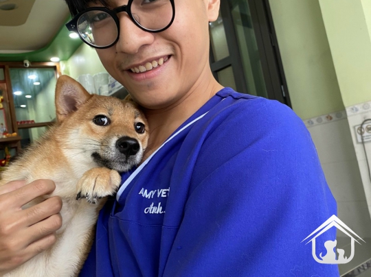 Đội ngũ Amy Vet Center