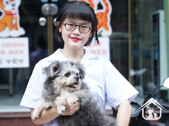 Đội ngũ Amy Vet Center