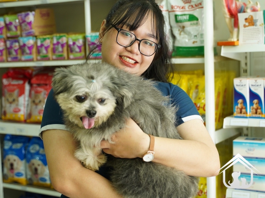 Đội ngũ Amy Vet Center