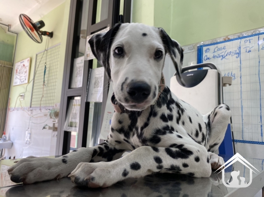 Phòng khám của chúng tôi
