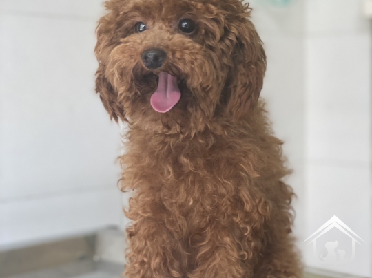 Phòng khám của chúng tôi