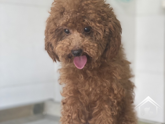 Phòng khám của chúng tôi