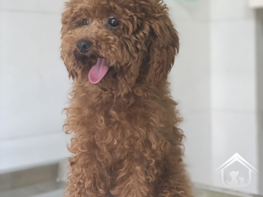 Phòng khám của chúng tôi