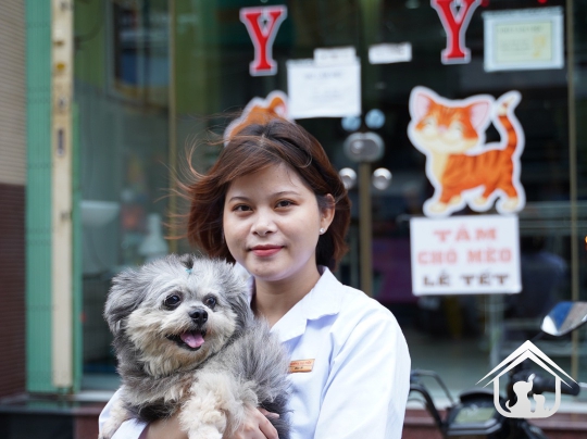 Đội ngũ Amy Vet Center