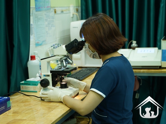 Xét nghiệm cho các "khách hàng" nhỏ