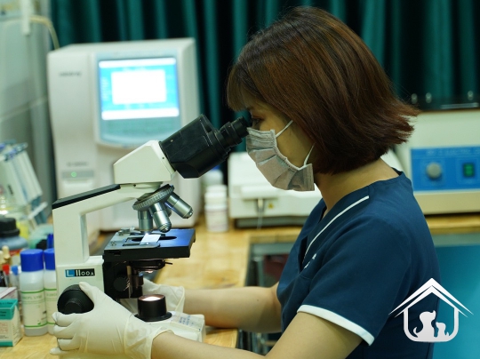 Xét nghiệm cho các "khách hàng" nhỏ