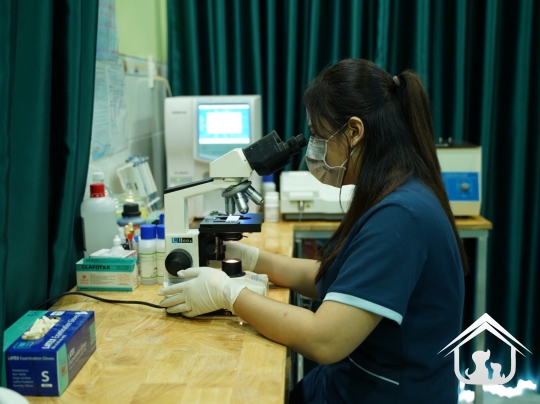 Xét nghiệm cho các "khách hàng" nhỏ