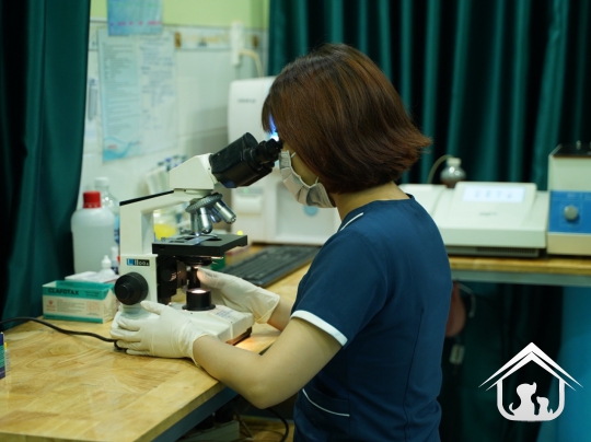 Xét nghiệm cho các "khách hàng" nhỏ
