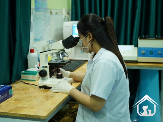 Xét nghiệm cho các "khách hàng" nhỏ