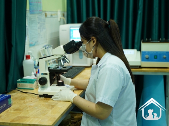 Xét nghiệm cho các "khách hàng" nhỏ