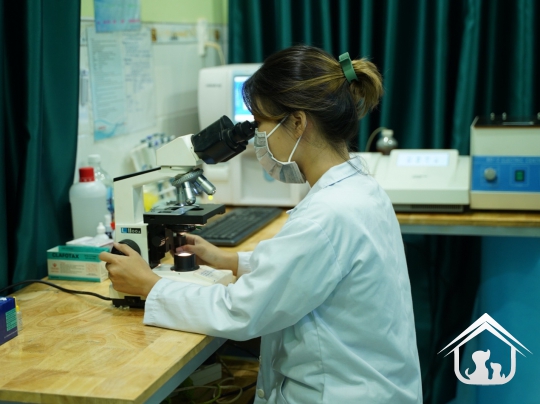Xét nghiệm cho các "khách hàng" nhỏ