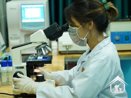 Xét nghiệm cho các "khách hàng" nhỏ