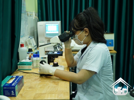 Xét nghiệm cho các "khách hàng" nhỏ