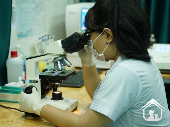 Xét nghiệm cho các "khách hàng" nhỏ