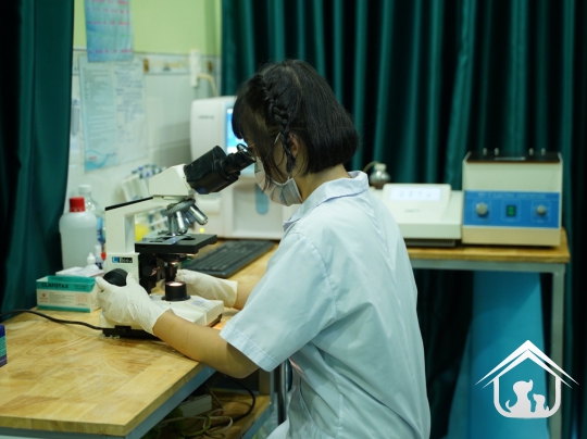 Xét nghiệm cho các "khách hàng" nhỏ
