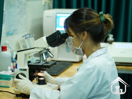 Xét nghiệm cho các "khách hàng" nhỏ