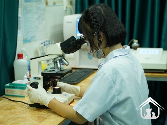 Xét nghiệm cho các "khách hàng" nhỏ