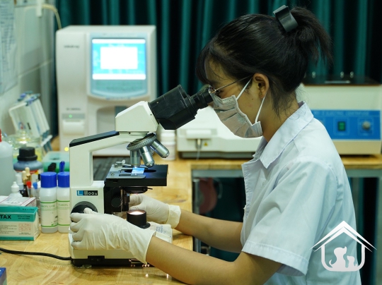Xét nghiệm cho các "khách hàng" nhỏ