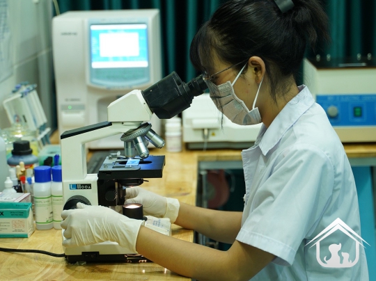 Xét nghiệm cho các "khách hàng" nhỏ