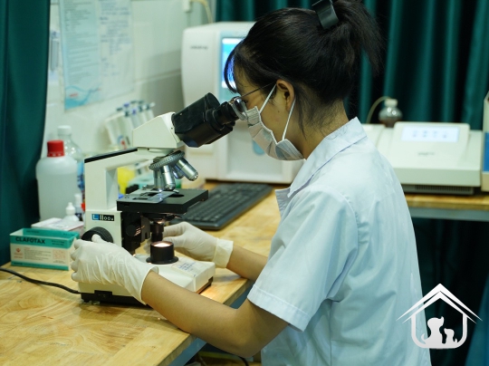 Xét nghiệm cho các "khách hàng" nhỏ