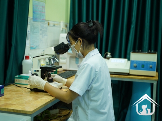 Xét nghiệm cho các "khách hàng" nhỏ