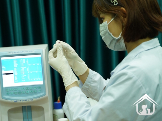 Xét nghiệm cho các "khách hàng" nhỏ