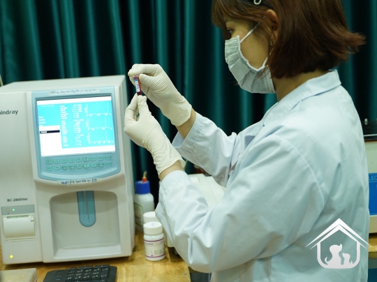 Xét nghiệm cho các "khách hàng" nhỏ