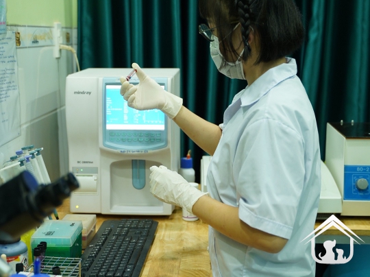 Xét nghiệm cho các "khách hàng" nhỏ