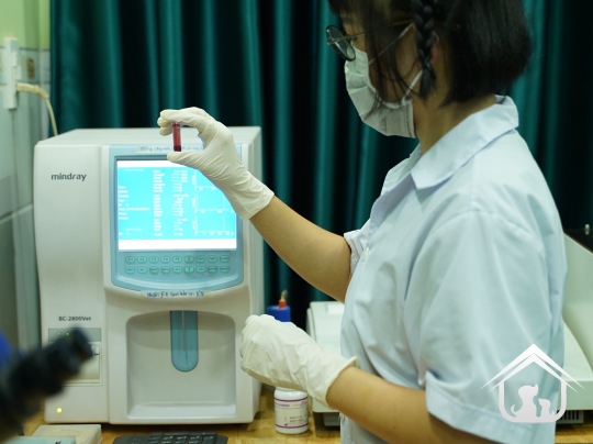 Xét nghiệm cho các "khách hàng" nhỏ
