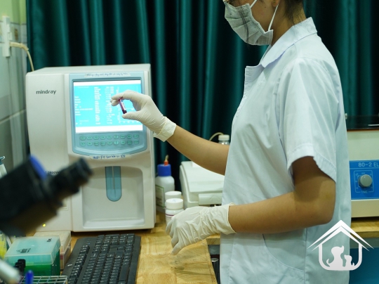 Xét nghiệm cho các "khách hàng" nhỏ