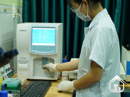 Xét nghiệm cho các "khách hàng" nhỏ