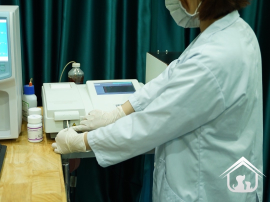 Xét nghiệm cho các "khách hàng" nhỏ