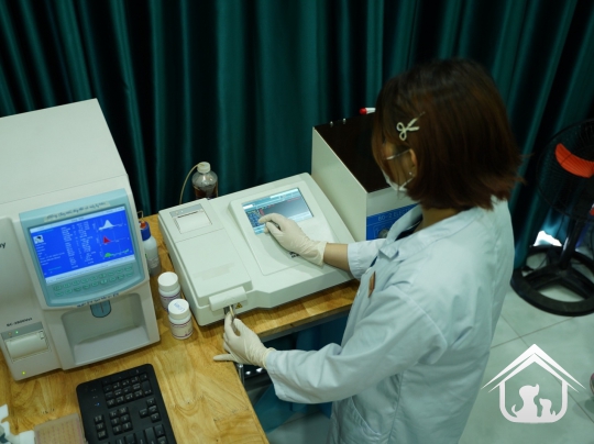 Xét nghiệm cho các "khách hàng" nhỏ