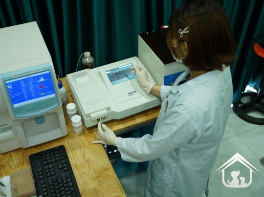Xét nghiệm cho các "khách hàng" nhỏ