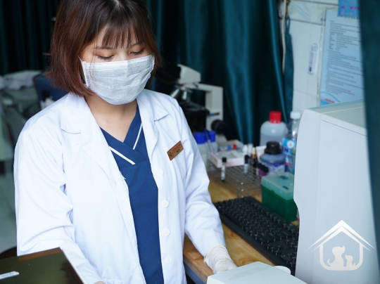 Xét nghiệm cho các "khách hàng" nhỏ