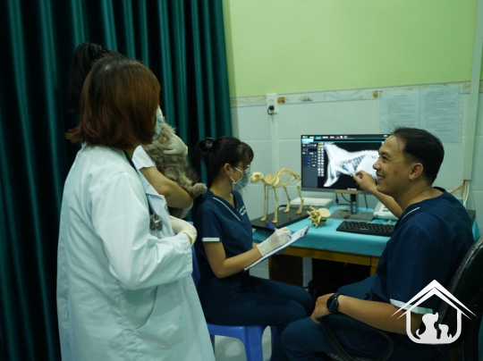 X-Quang cho các "khách hàng" nhỏ